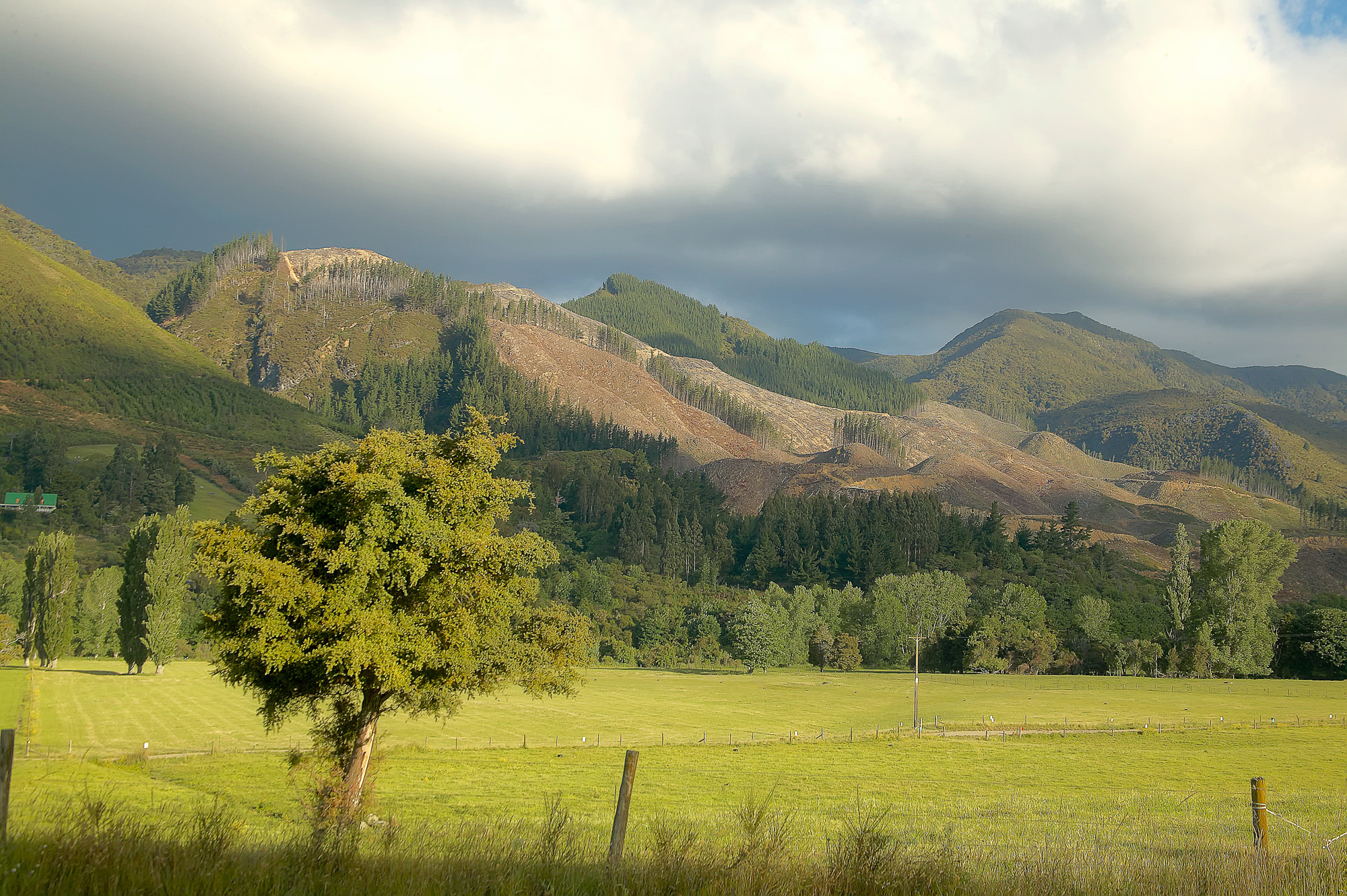 New Zealand landscape
