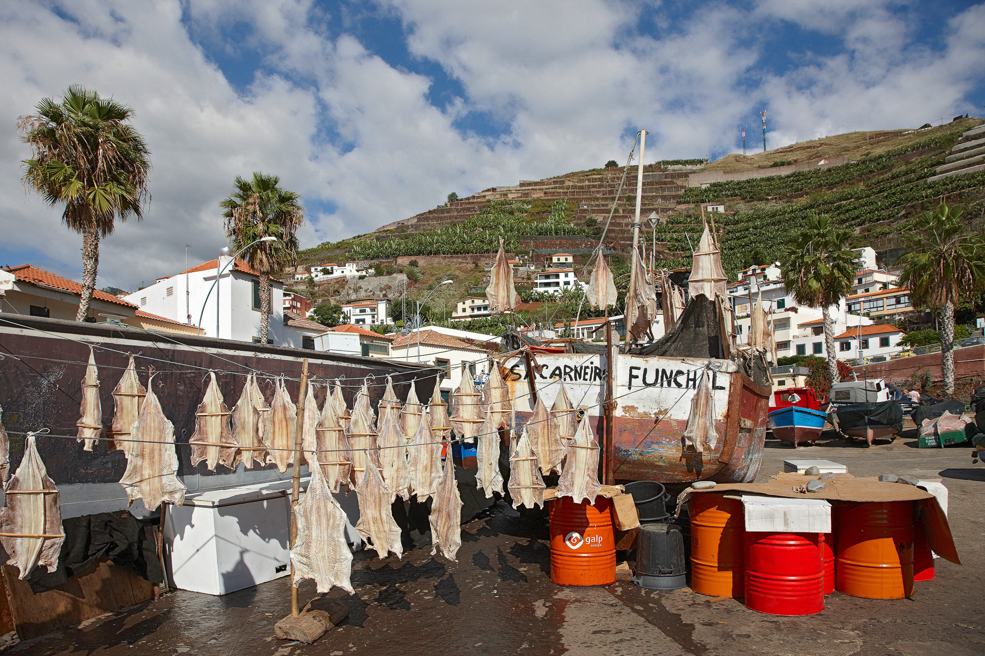 Câmara de Lobos, Madeira