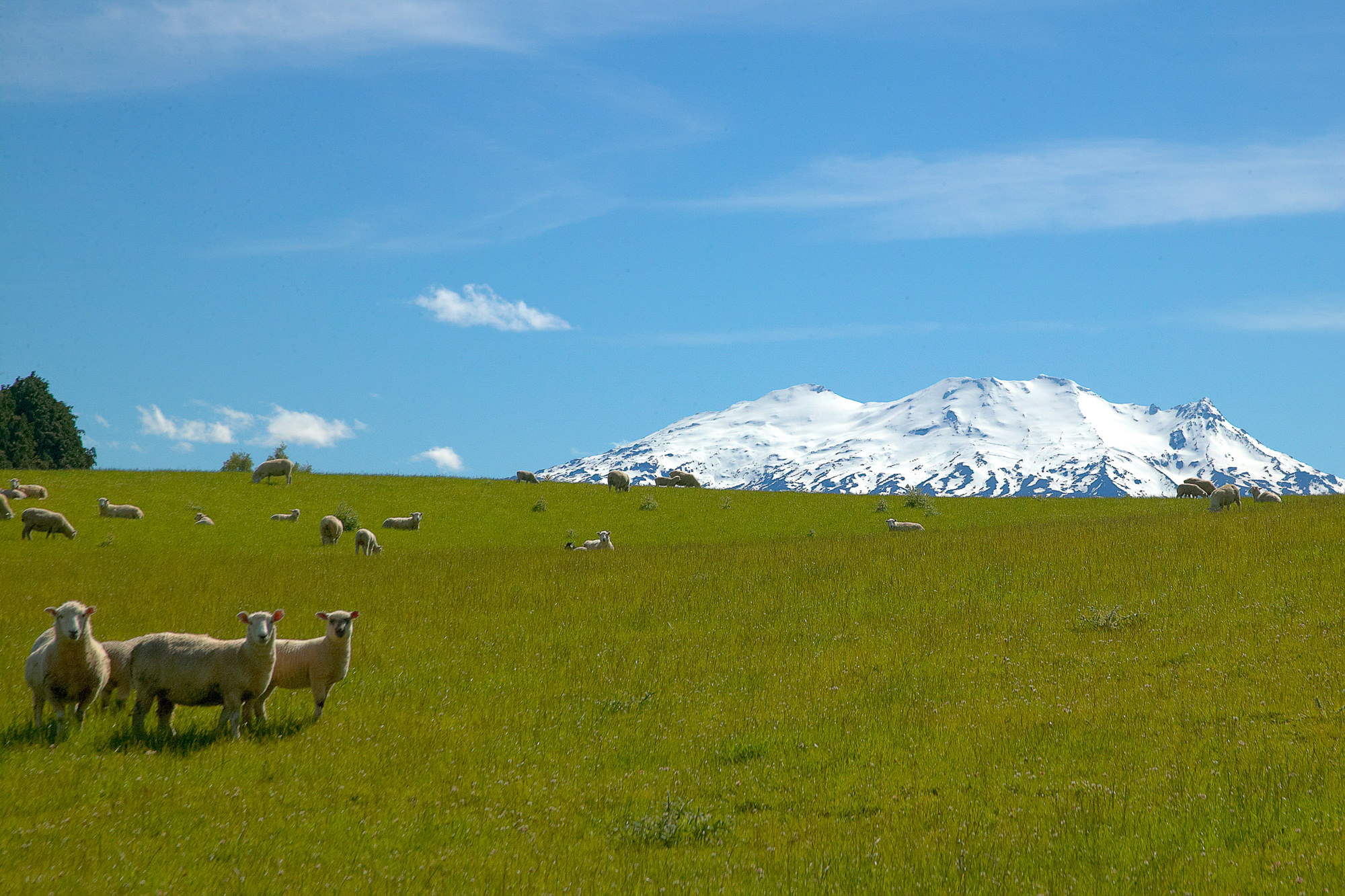 auf der Fahrt nach Wellington