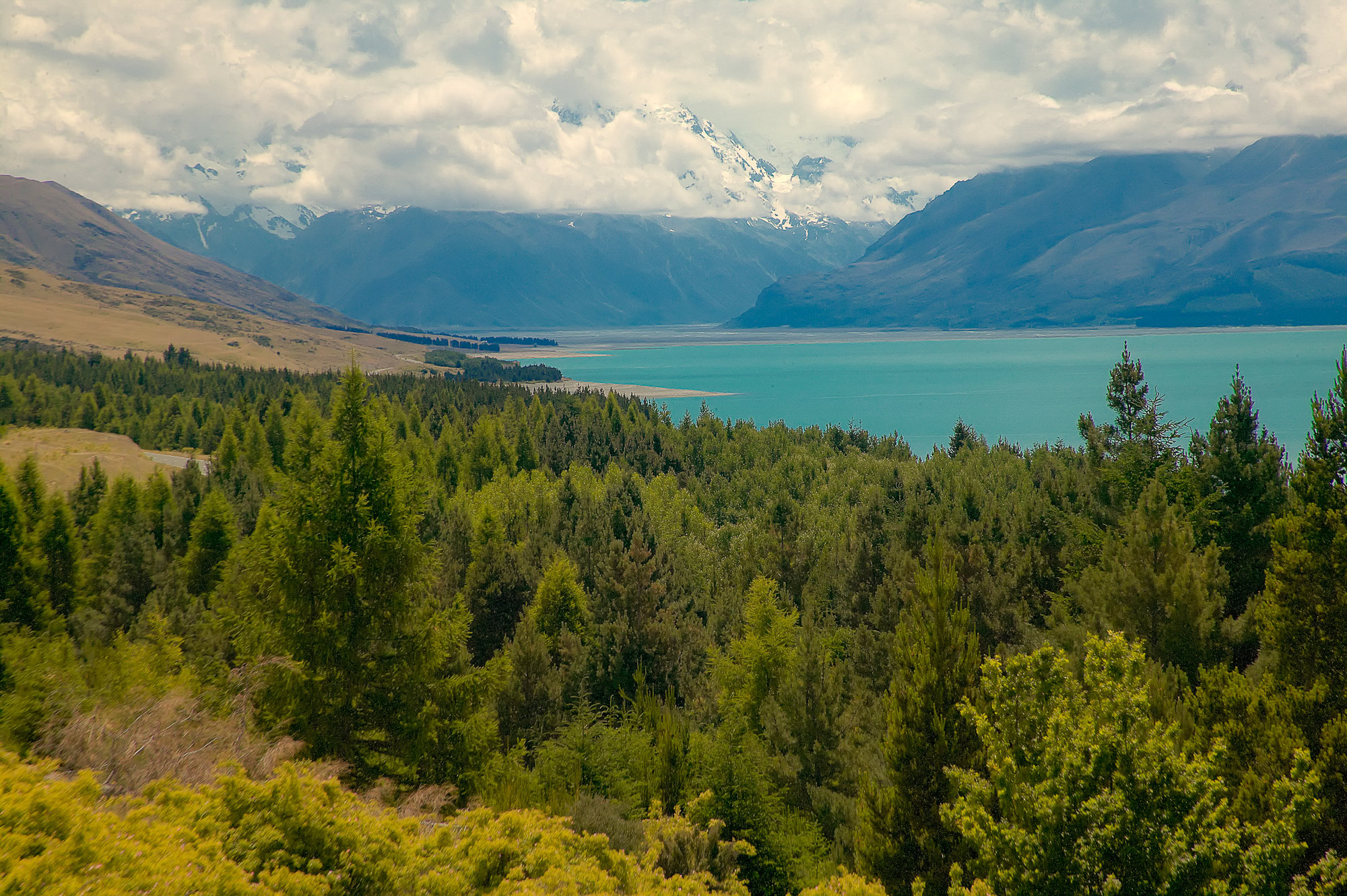 Tekapo See und Neuseeländische Alpen