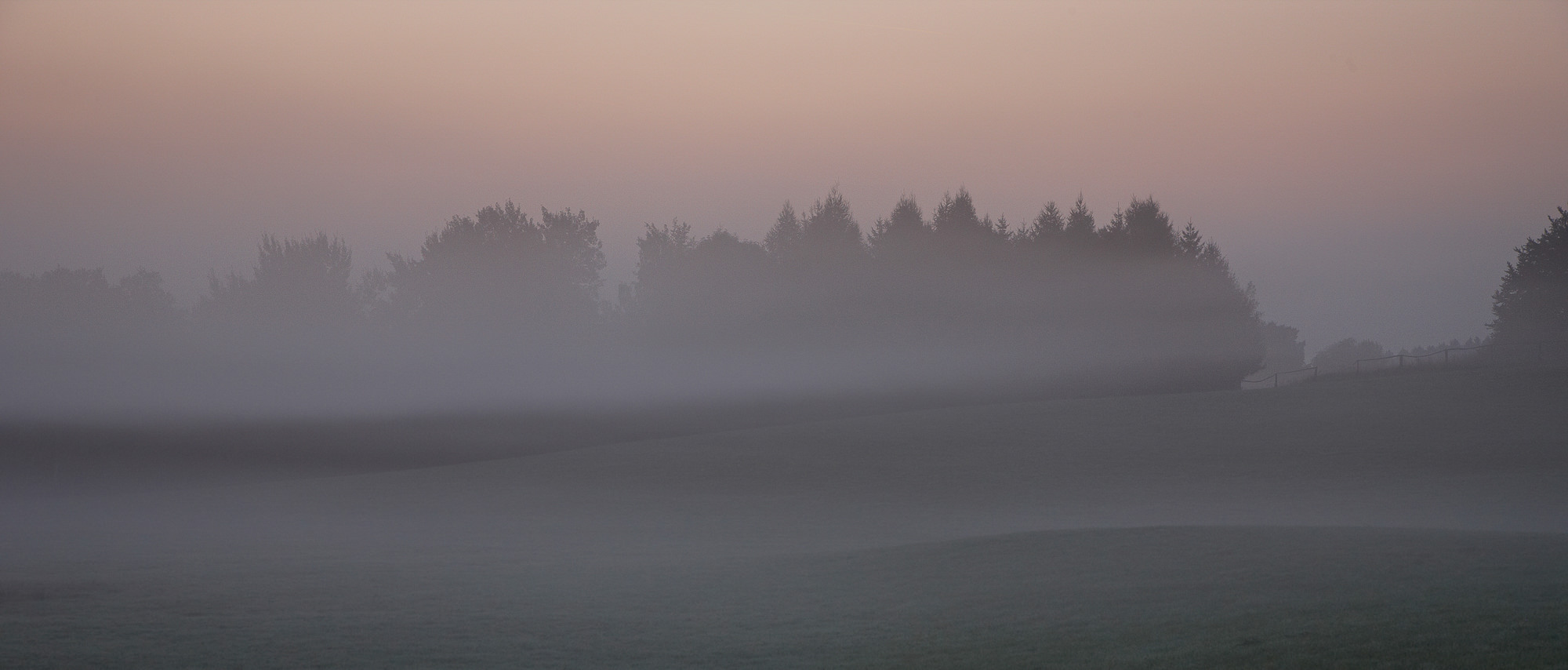 Morgenstimmung im Moor