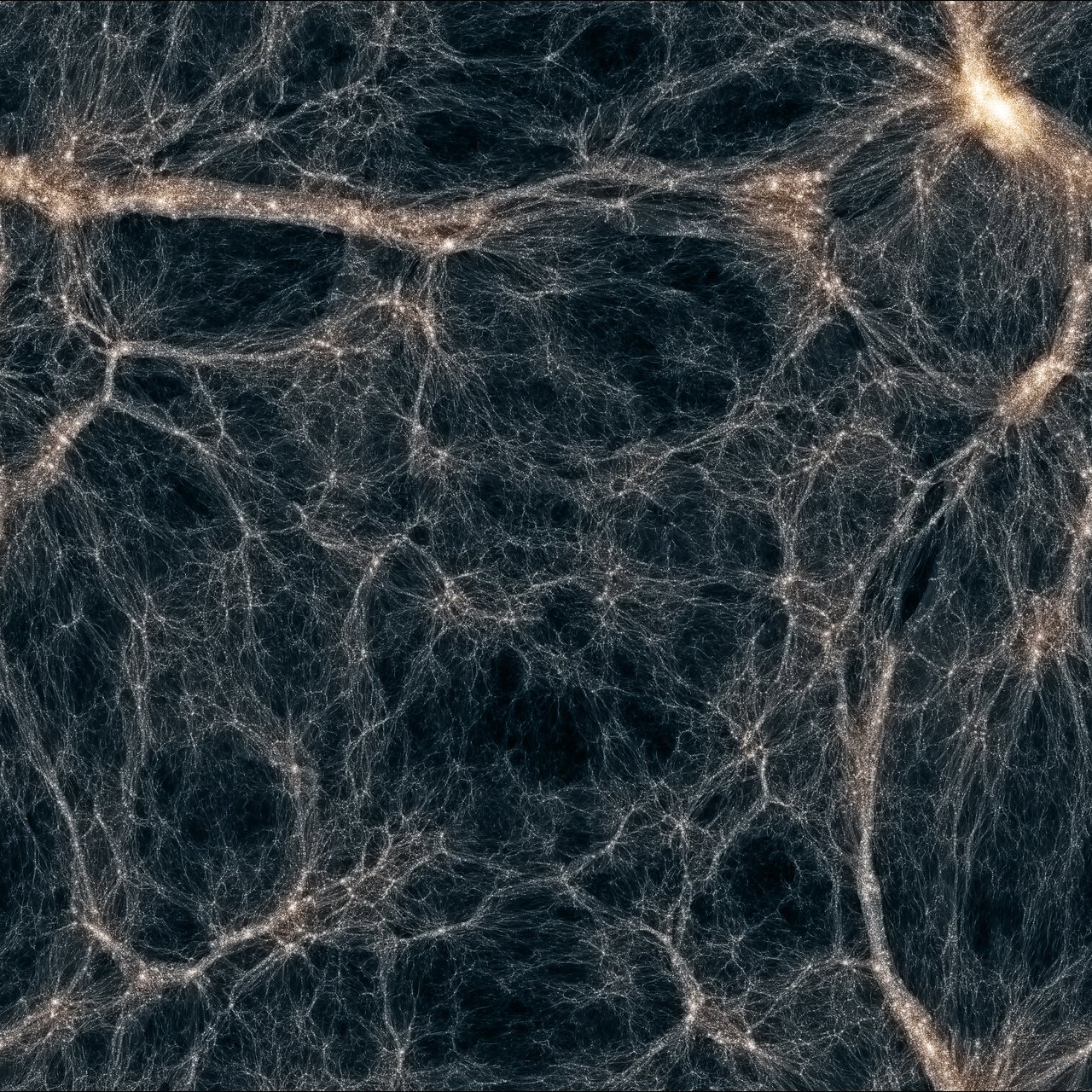 Filamente Voids