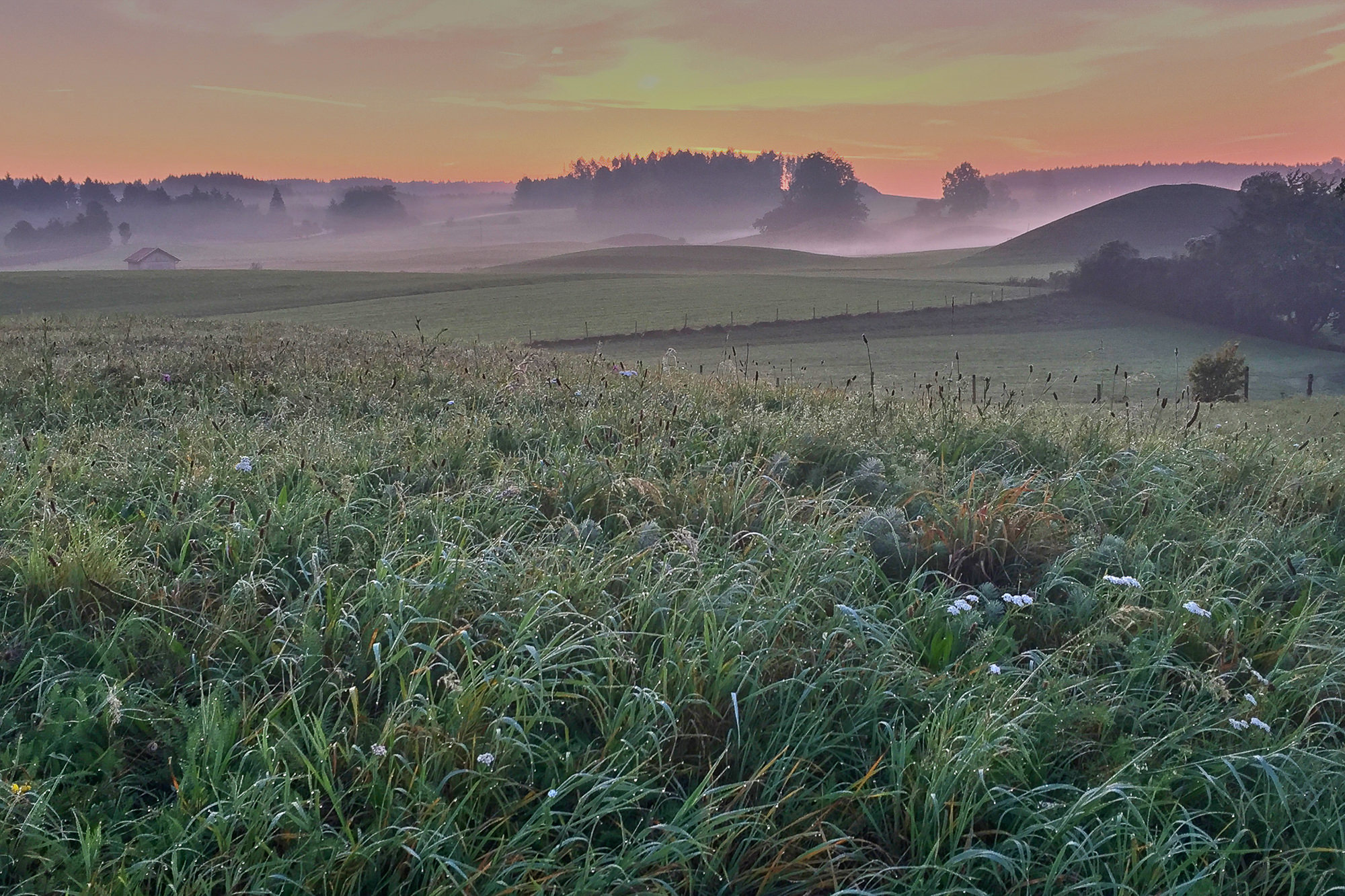 autumn morning mood in the pre-alps near Weilheim, Upper Bavaria