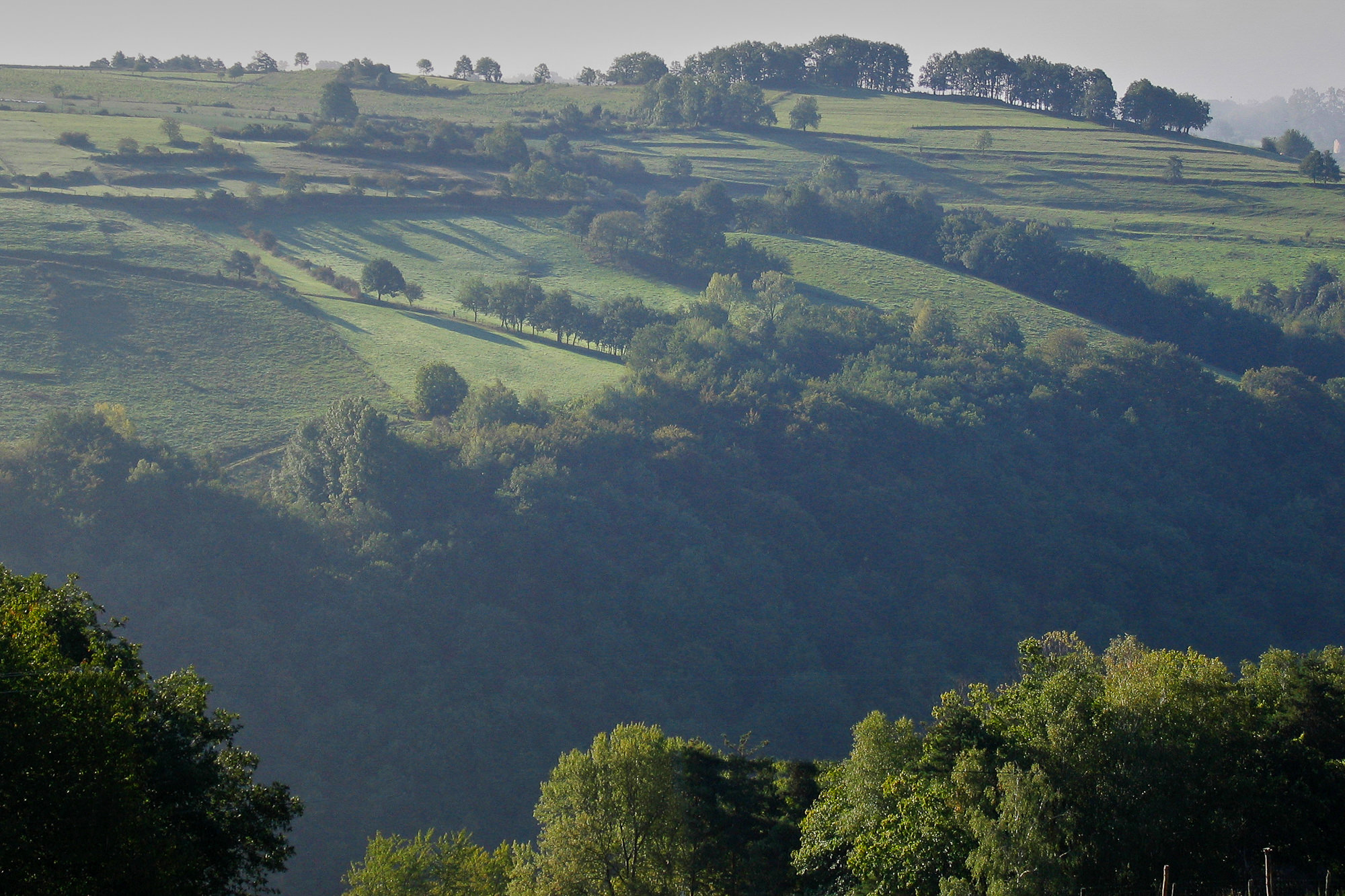 Day 5: From Estaing to Espeyrac